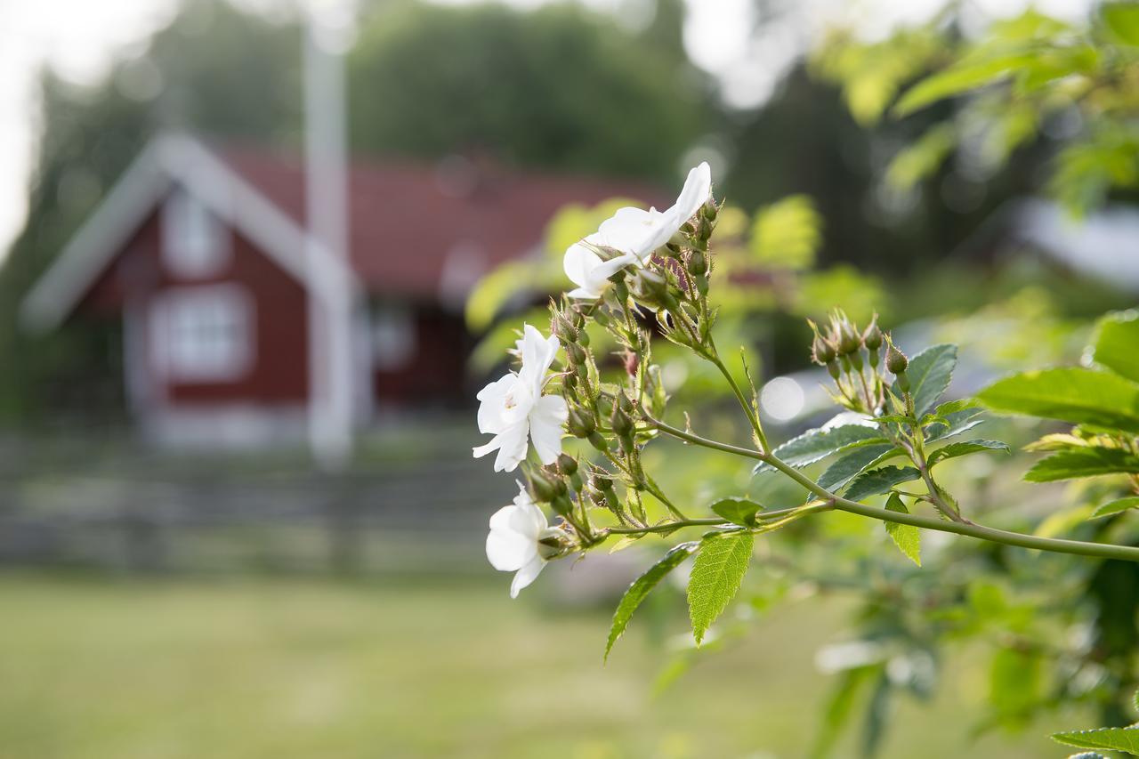 Modal Stugor Hultsfred Exterior foto